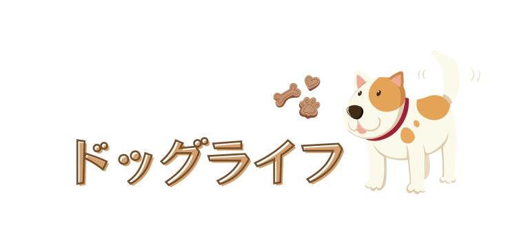 カワイイがいっぱい！ワンダーランド